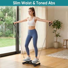 Waist And Abdomen Rotation Machine, Abdominal Rotation Board, Noise-free Fitness Tool, Suitable For Core Muscle Training And Abdominal Fat Reduct