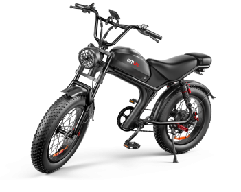 C93- Dual-drive High-speed Electric Bike