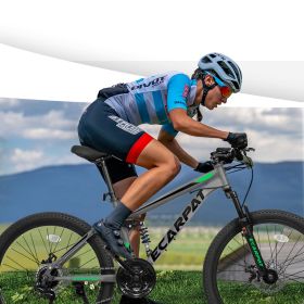 A2460 24 Inch Mountain Bike With Full Suspension, 21 Speed Shifter Lever With Gear Indicator, High Carbon Steel Frame, Mechanical Disc Brakes, Un