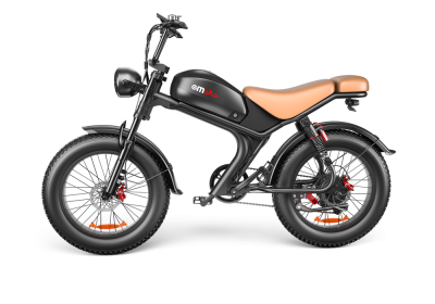 C93 - 20 Inch 20A Electric Bike